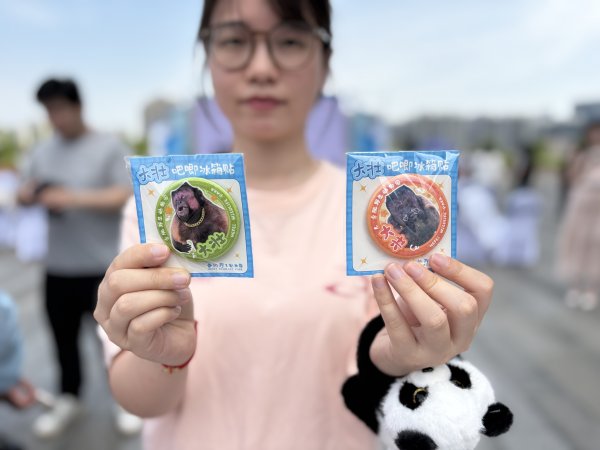 炒股配资平 合肥“丑猴”大壮首批文创预计端午前后推出_大皖新闻 | 安徽网